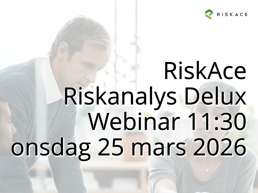 RiskAce, kplan, med riskanalys Deluxe